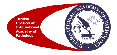 Turkish Division of IAP